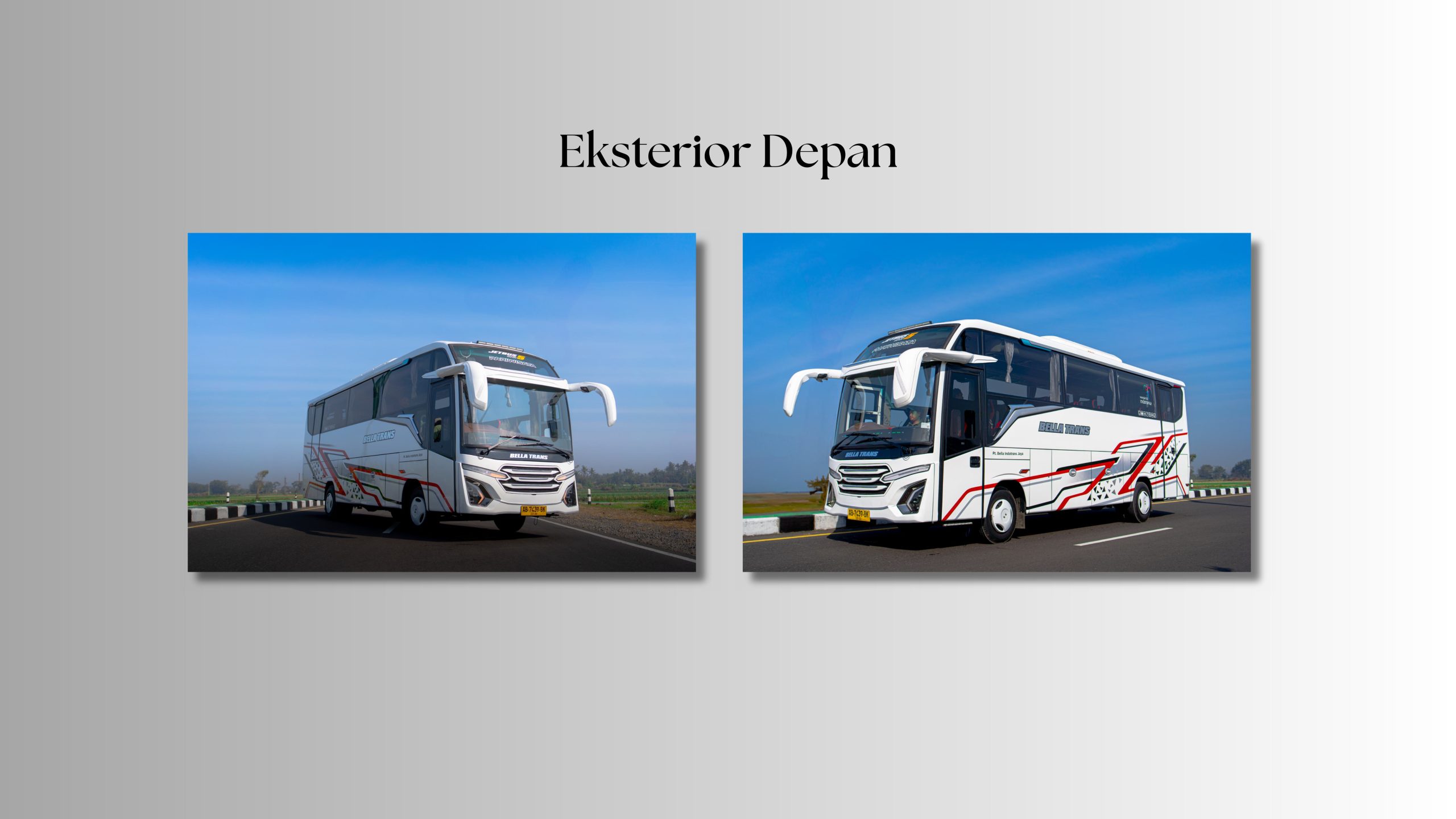 mood board bella trans images 1