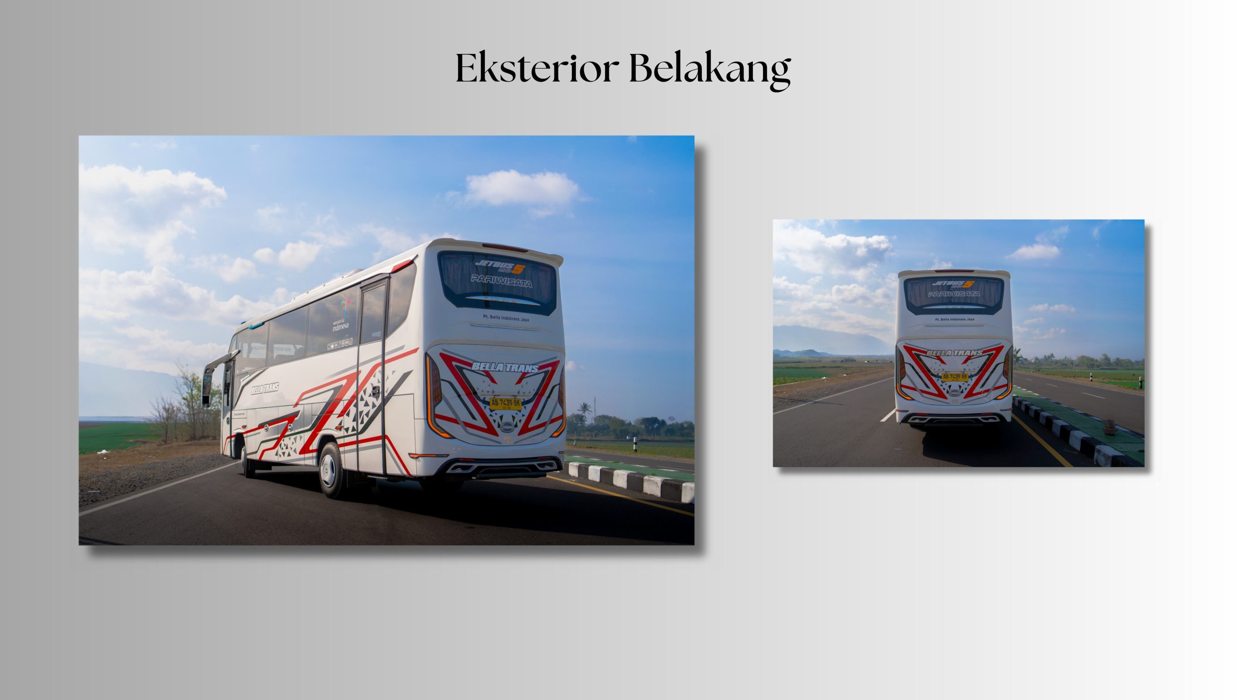 mood board bella trans images 2