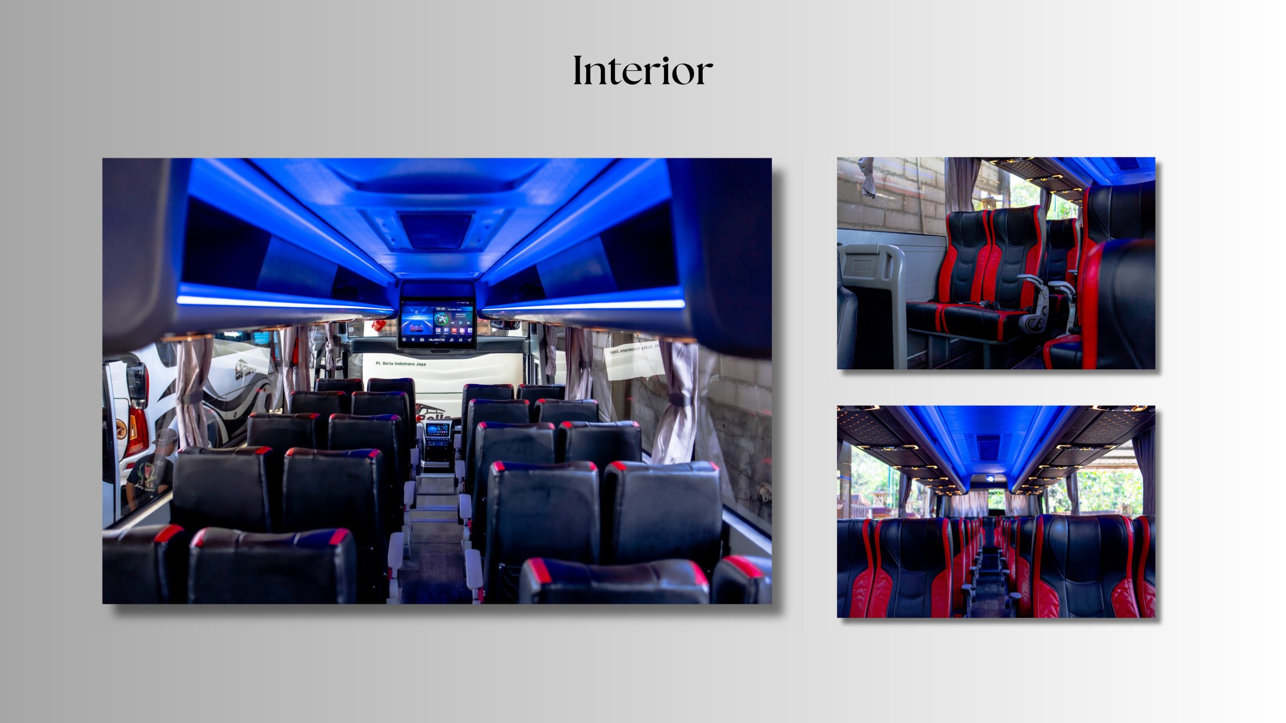 mood board bella trans images 3